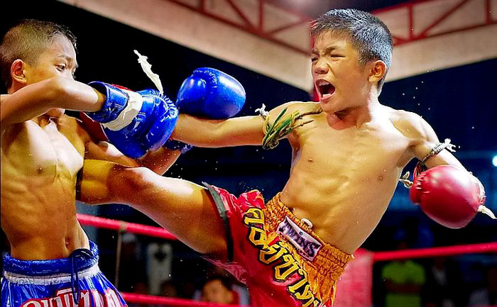 BOX-THA-MUAY THAI