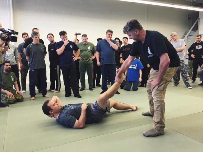 systema-Vladimir-Vasiliev