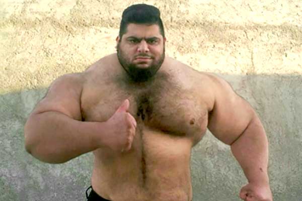 Sajad-Gharibi-2