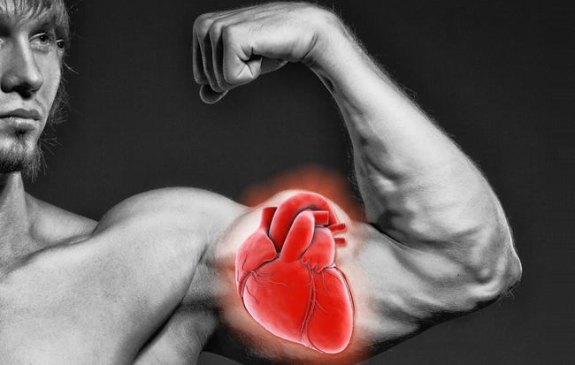 grote-biceps-hart
