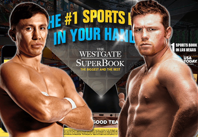 canelo-golovkin-gokken