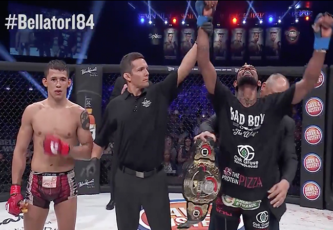bellator-184