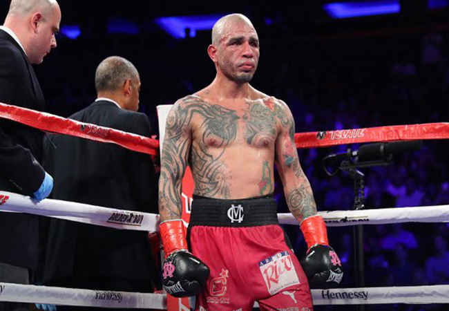 cotto
