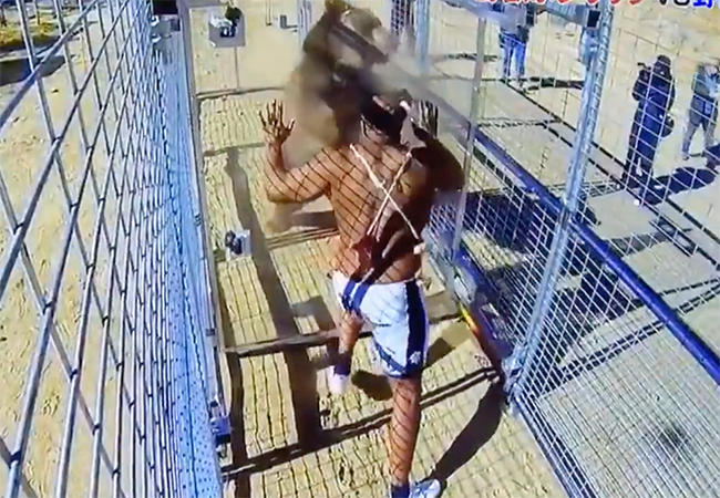 bob-sapp-tegen-beer