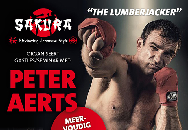 seminar-peter-aerts