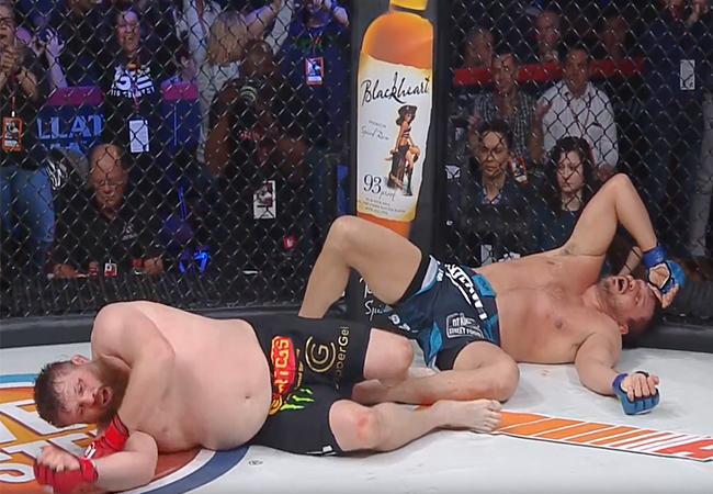 Matt-Mitrione-verslaat-Roy-Nelson