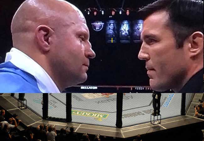sonnen-fedor