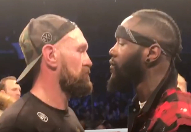 fury-wilder