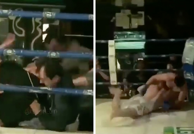 mma-publiek