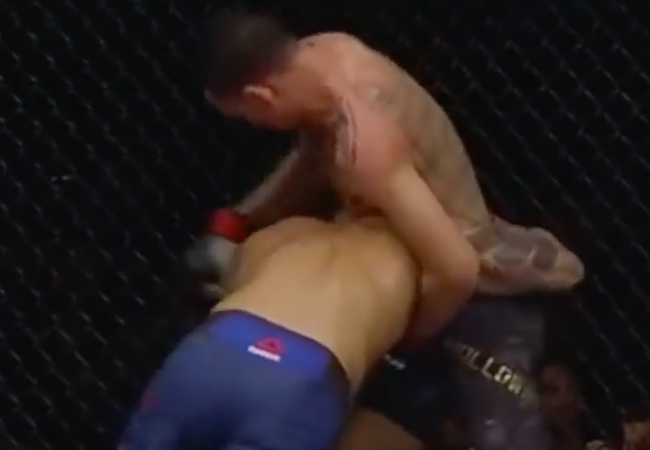 ufc-236