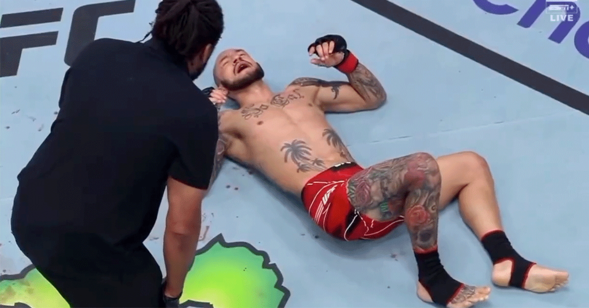 Cub-Swanson