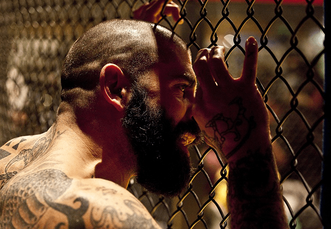 mma-pixabay
