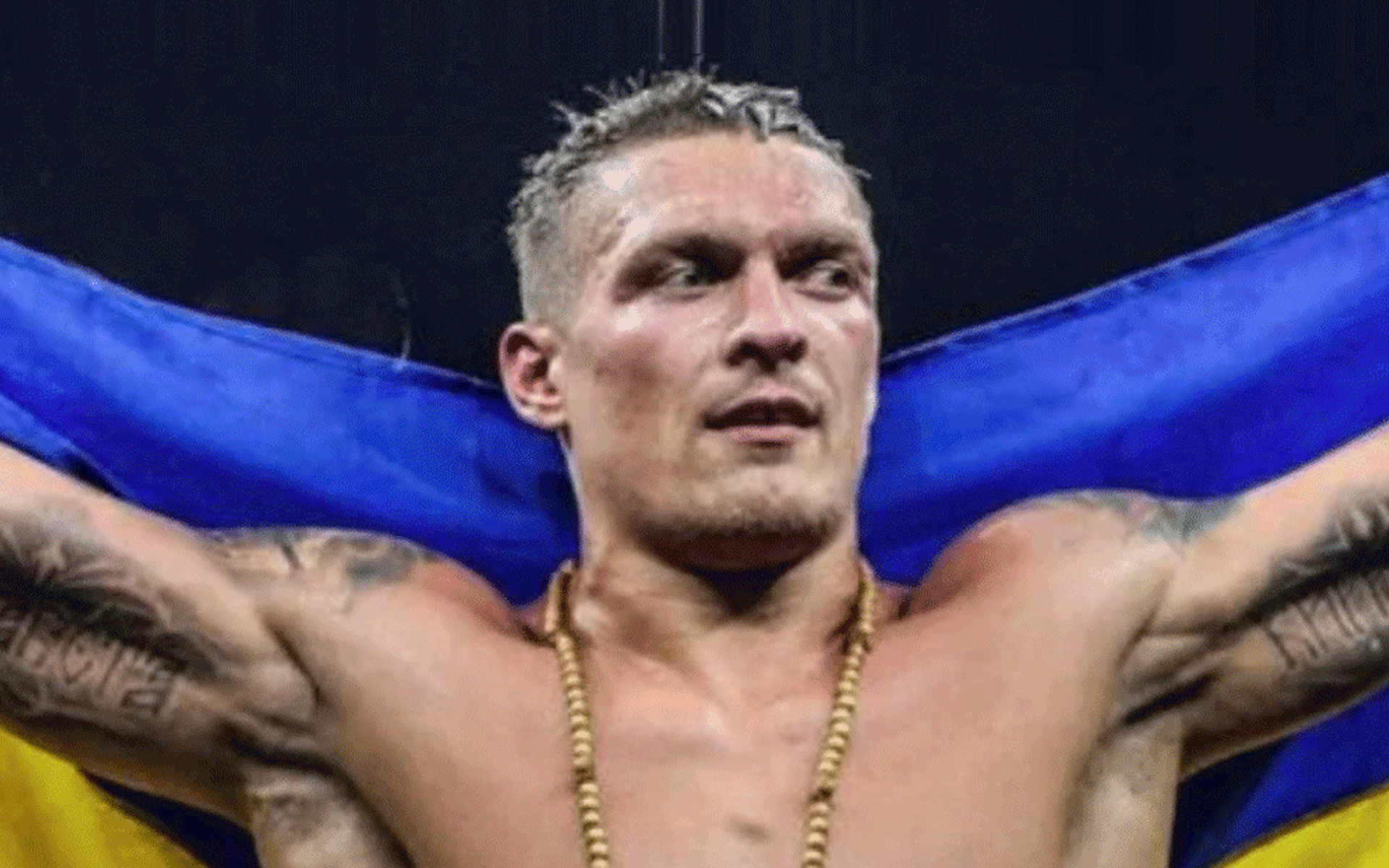 usyk