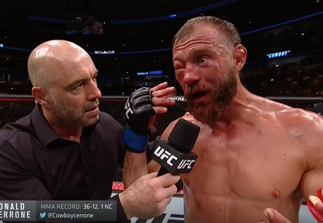cerrone