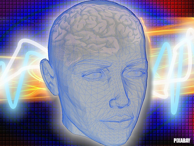 brain