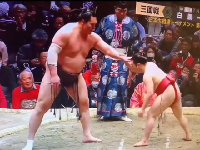 sumo
