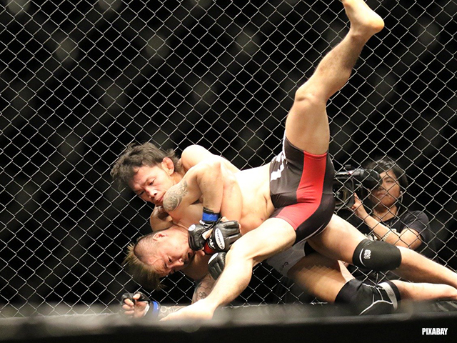 mma-vechten