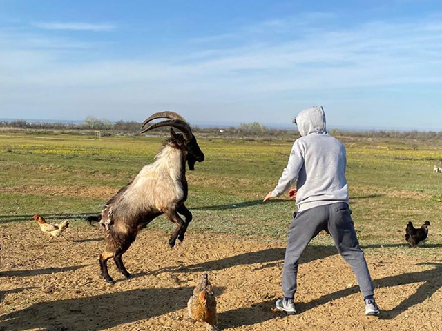 Zabit-Magomedsharipov
