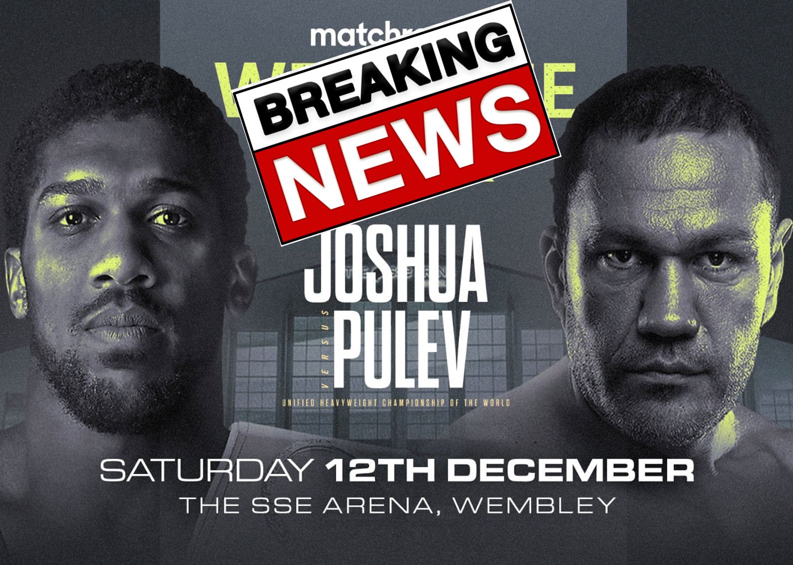 joshua-vs-pulev