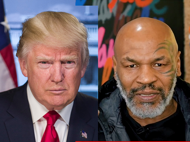 mike-tyson-trump