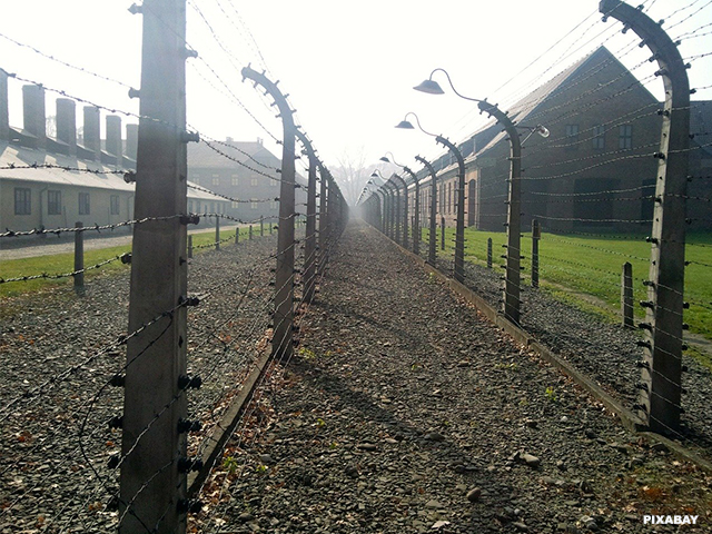 nazi