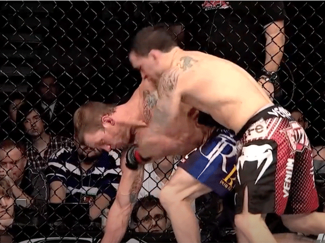 gray-maynard