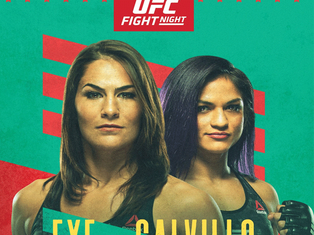 ufc-13-juni