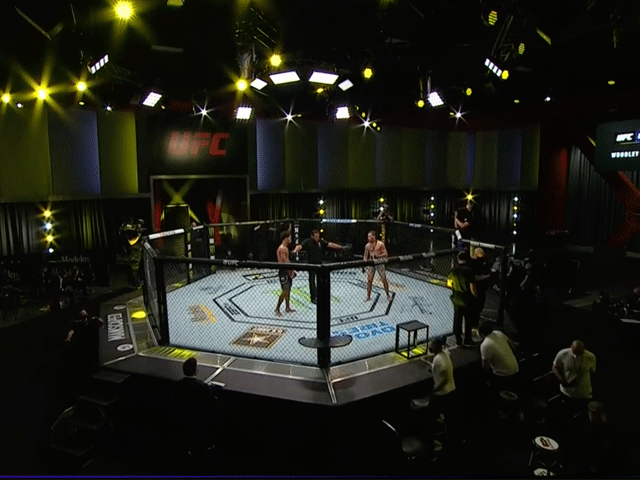 ufc-250