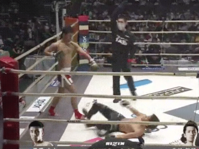 rizin-24-knock-out