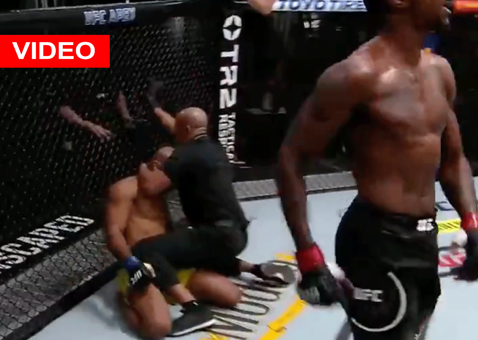 Kevin-Holland-1