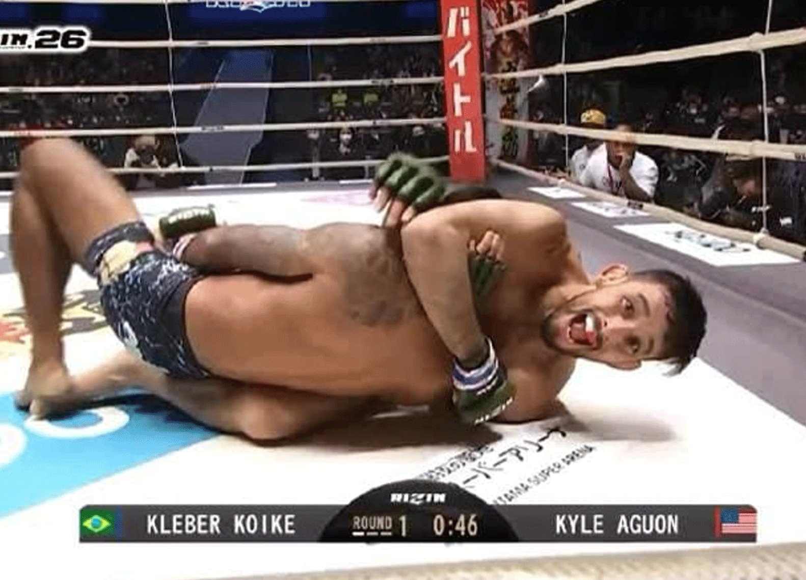 Kleber-Koike
