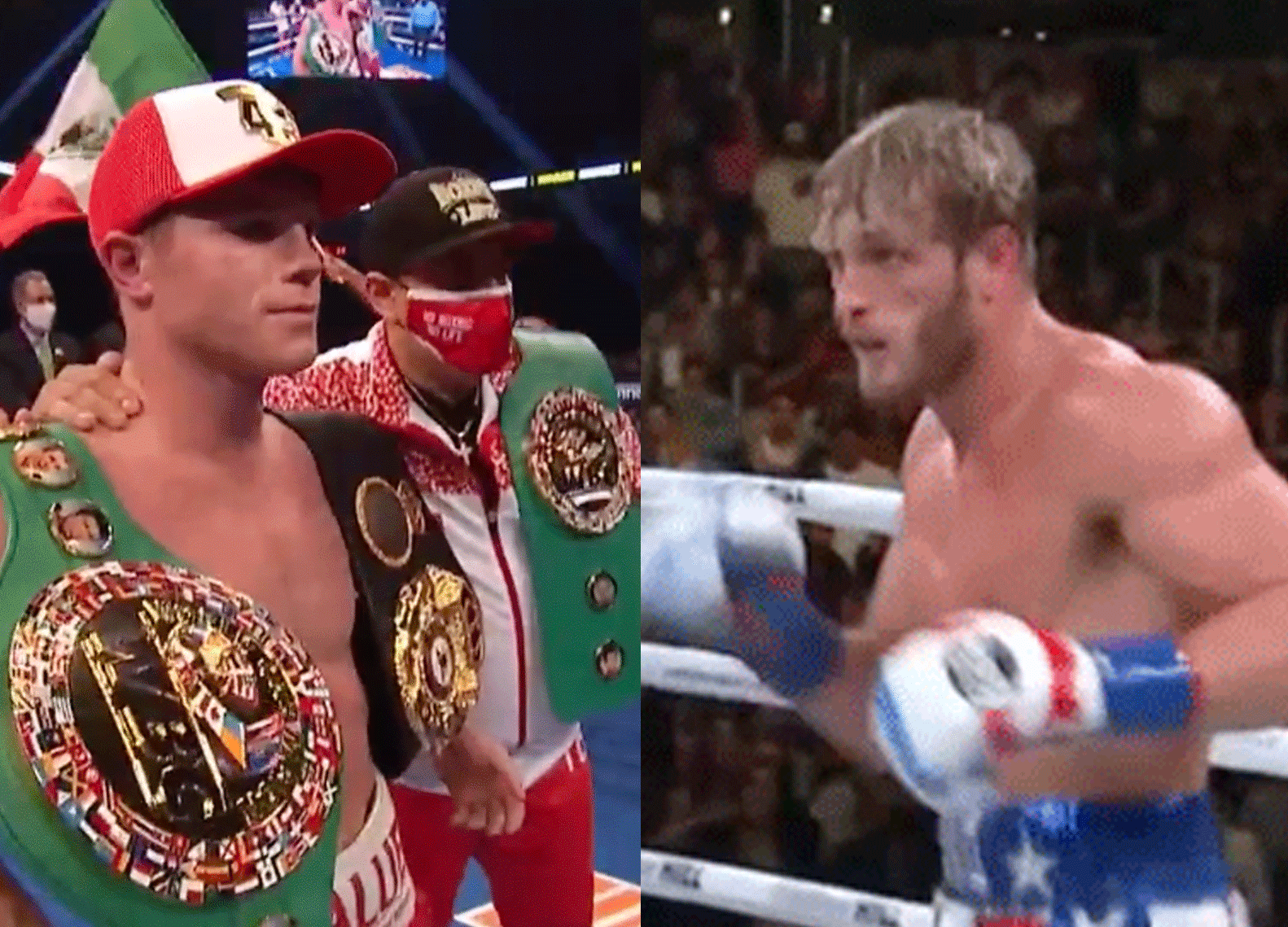 canelo-vs-logan-paul