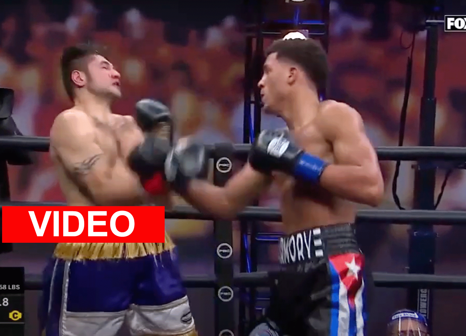 david-morell-vs-Mike-gavronski