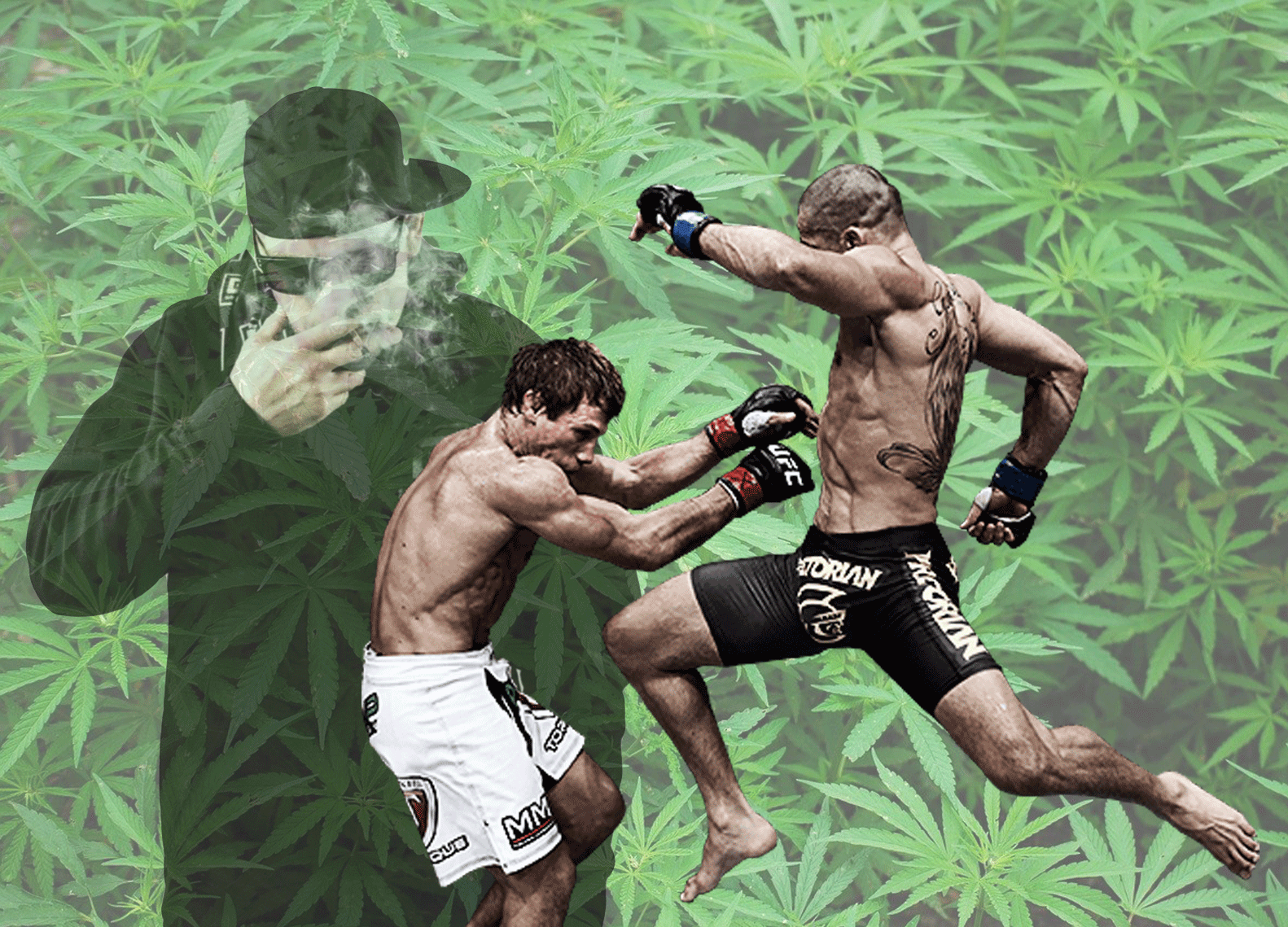 UFC-marihuana