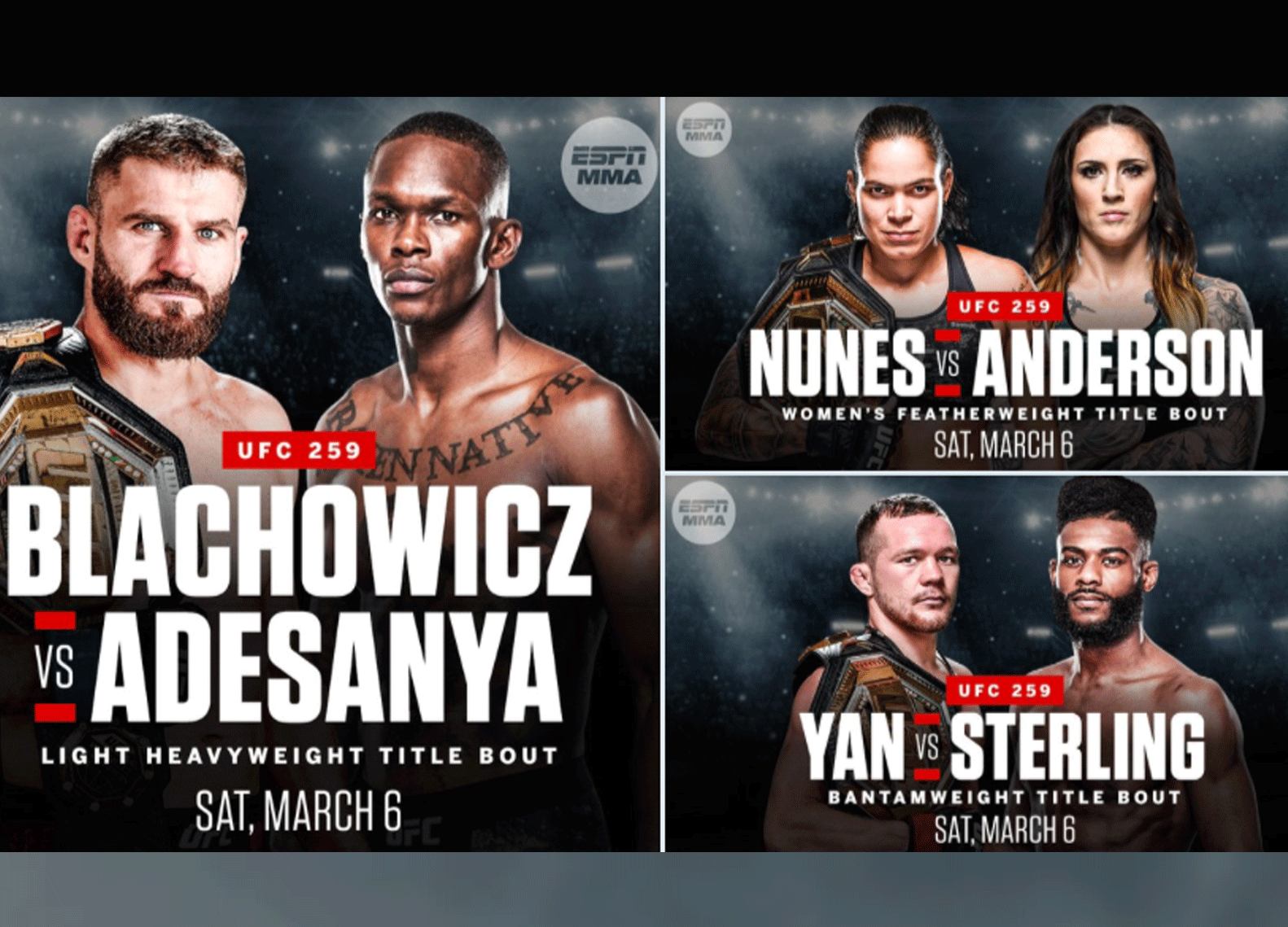 UFC256