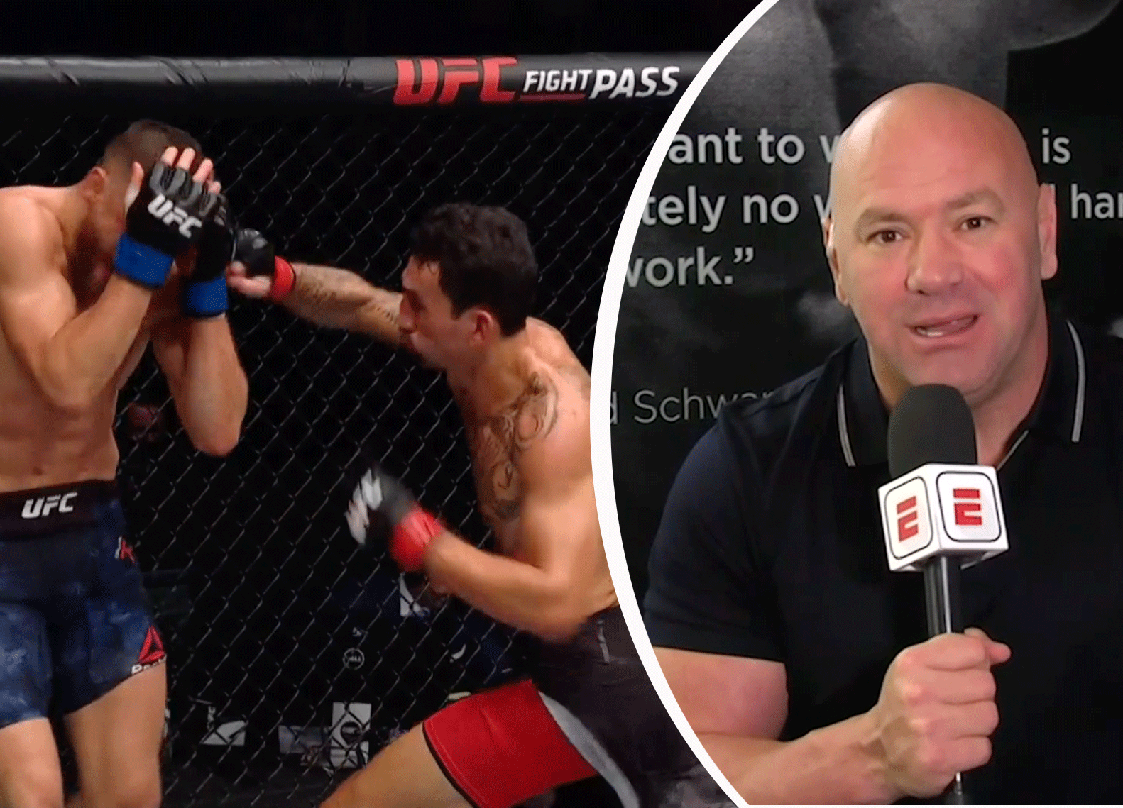 dana-white-holloway