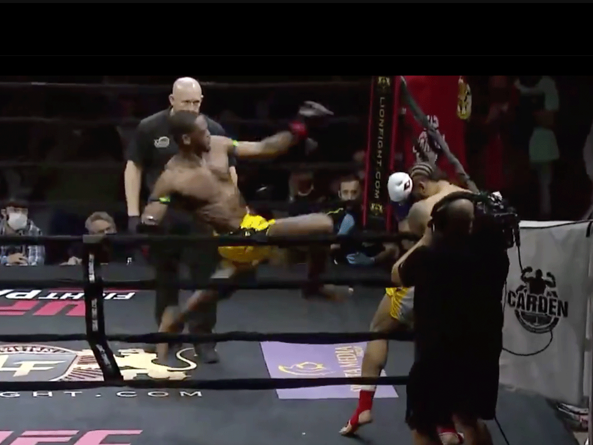 Lion-fight-46