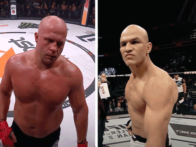 fedor-vs-dos-santos-1-768x576
