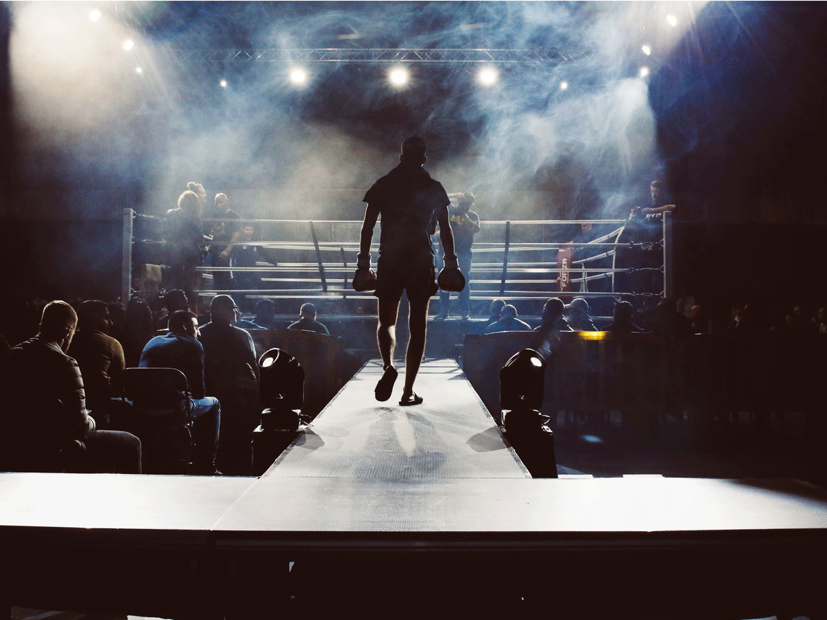 wasserman-boxing