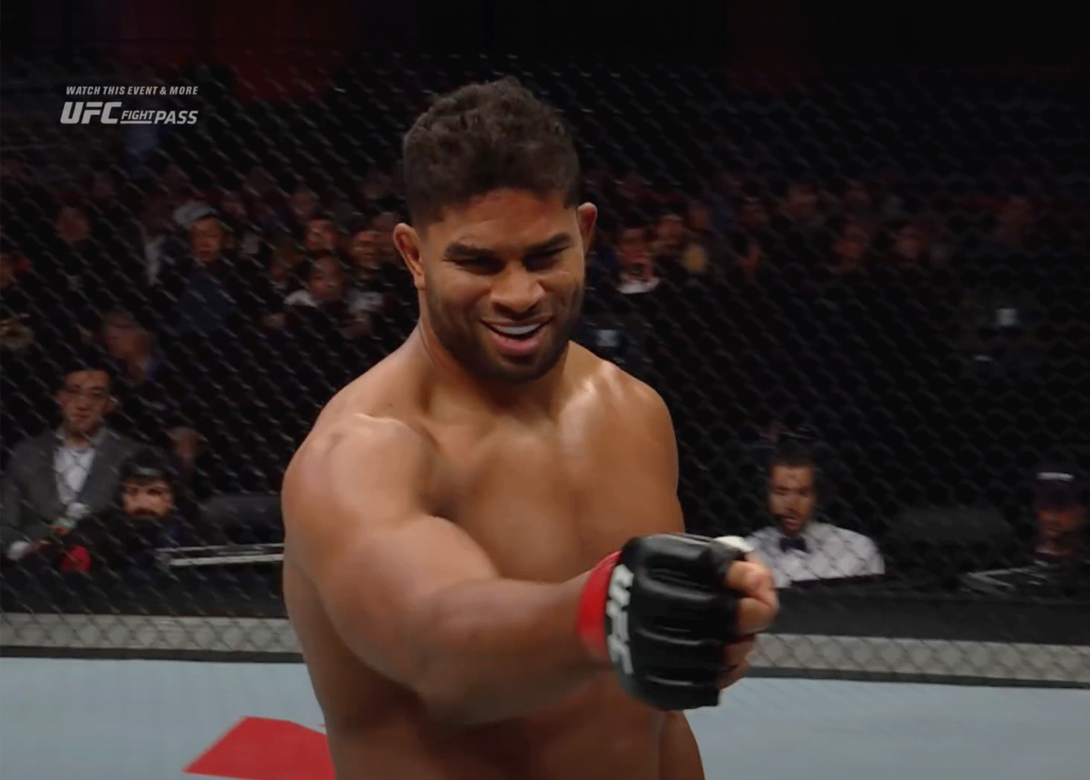 bellator-wil-alistair-overeem
