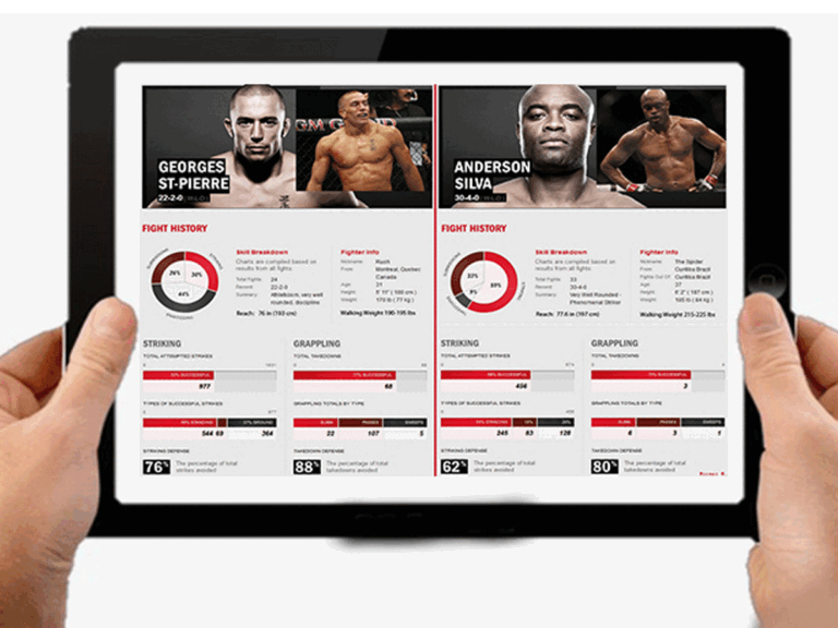 digitale-Fightpassport-768x576