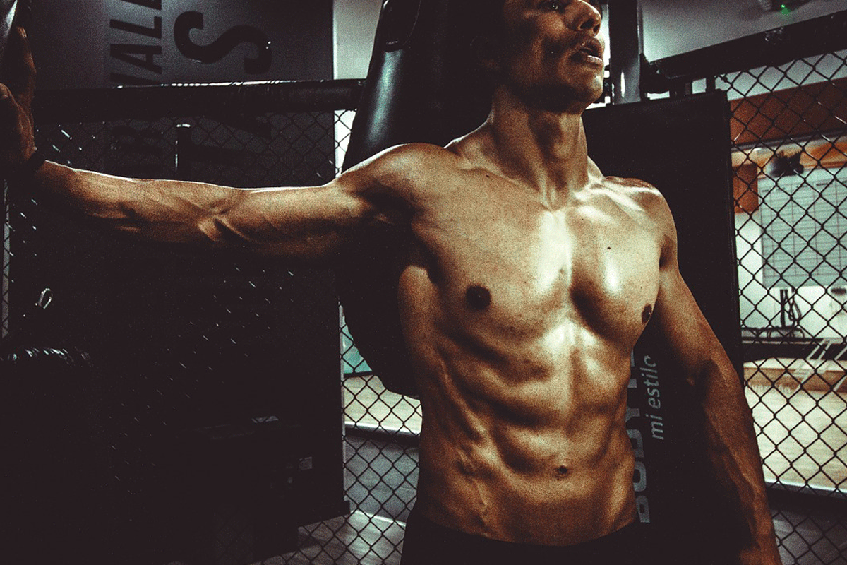muscles