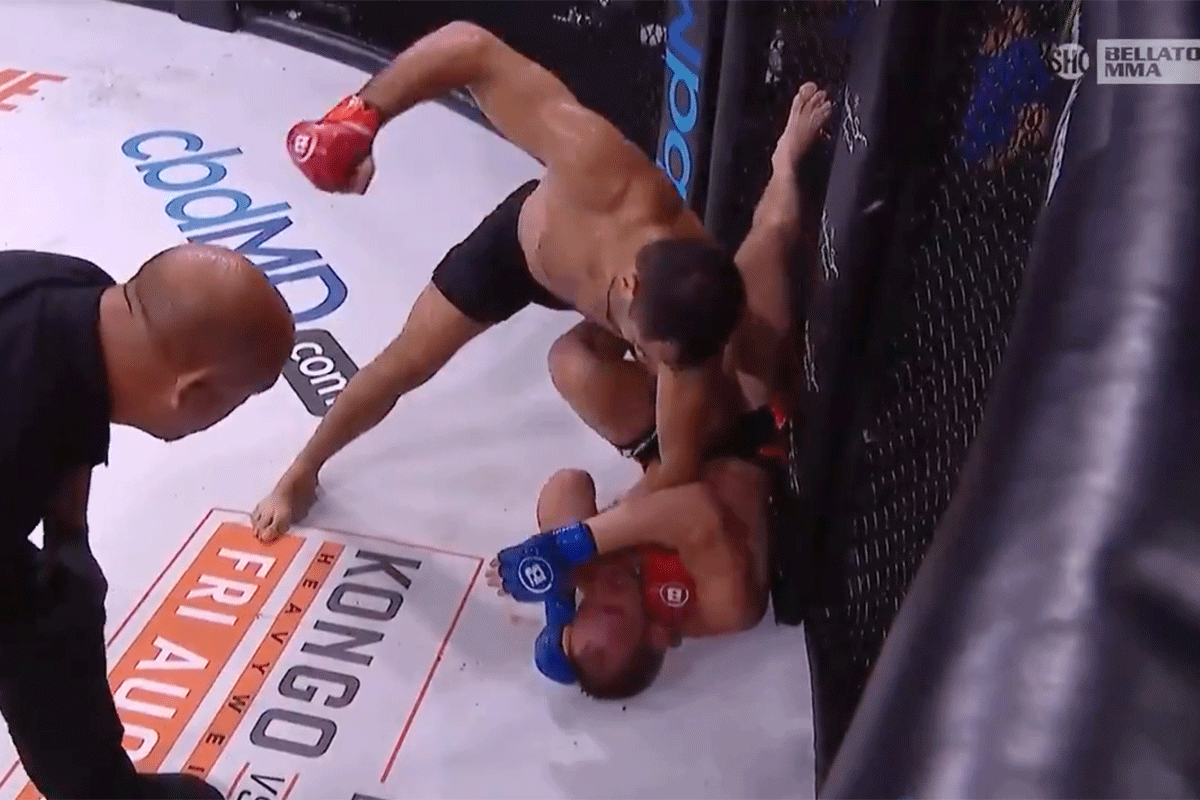 Gegard-Mousasi-slaat-John-Salter-knock-out