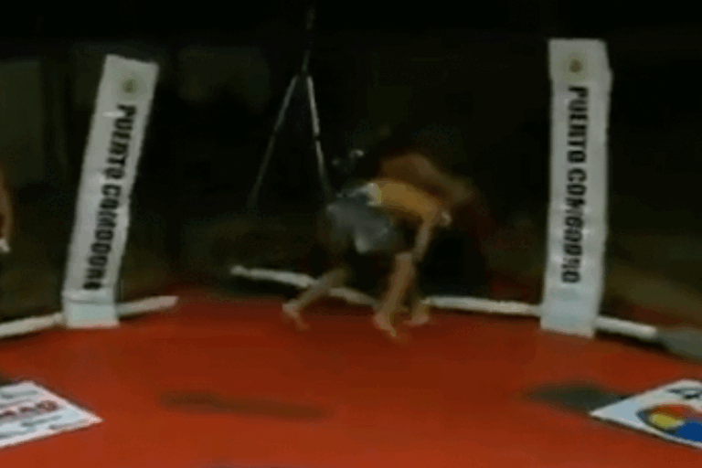 MMA-kooi-stort-in-768x512