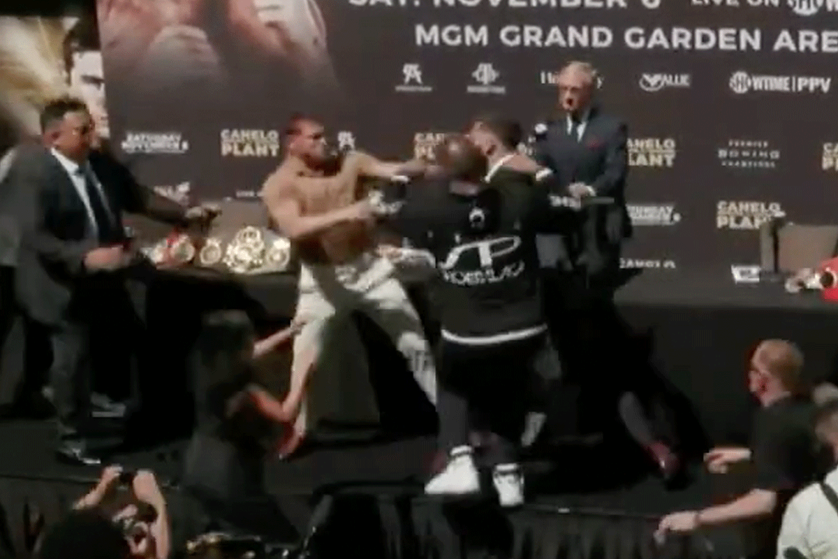 Canelo-mept-Plant