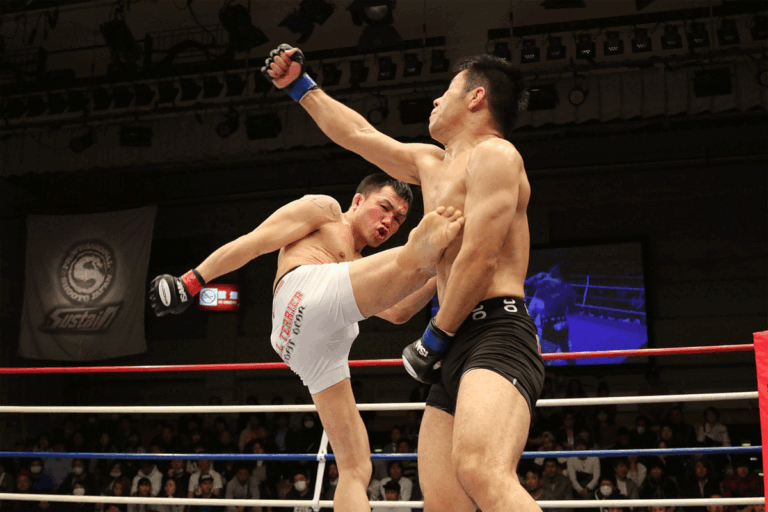 MMA-japan-pixabay-768x512
