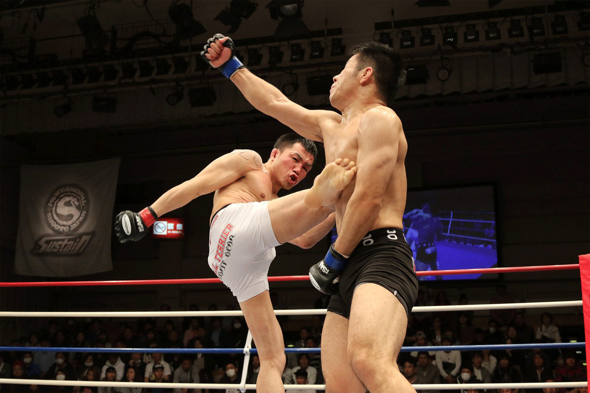 MMA-japan-pixabay