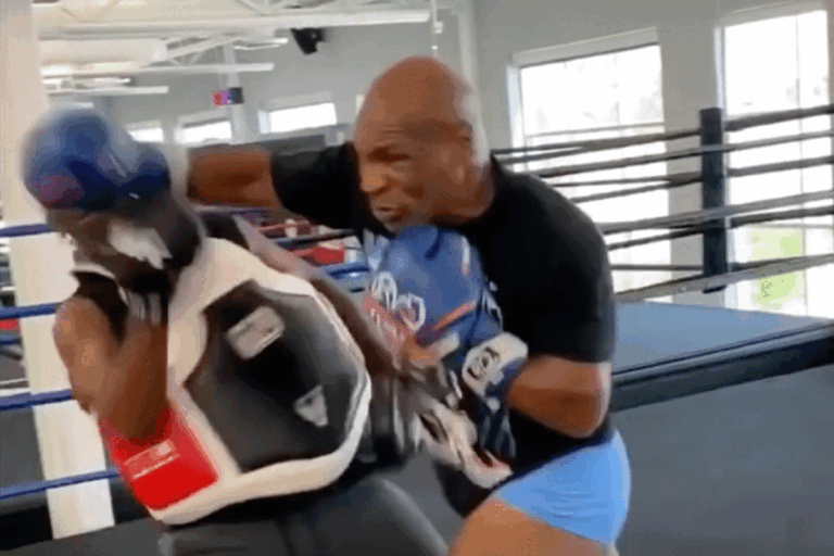 Mike-tyson-vecht-tegen-logan--768x512