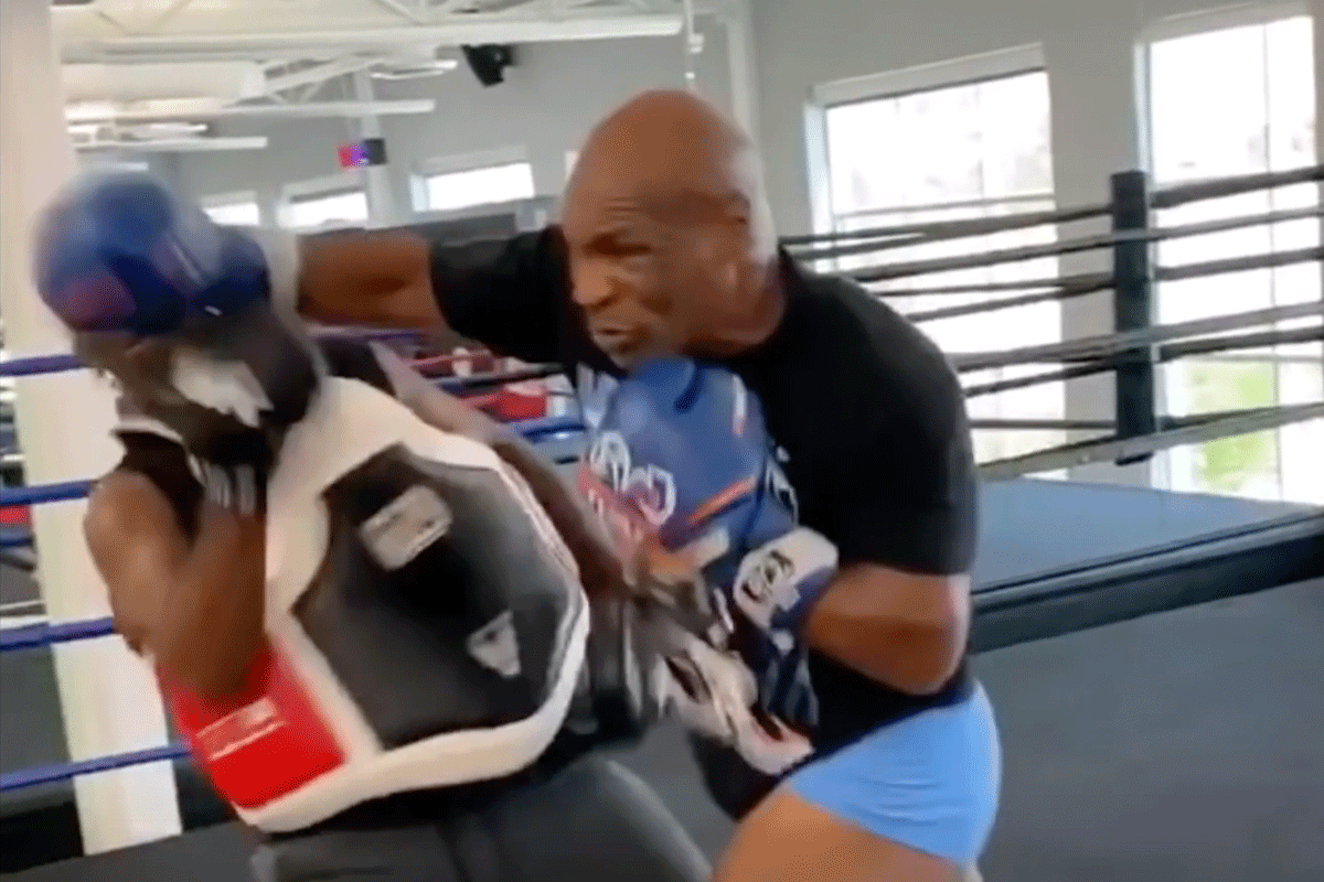 Mike-tyson-vecht-tegen-logan-