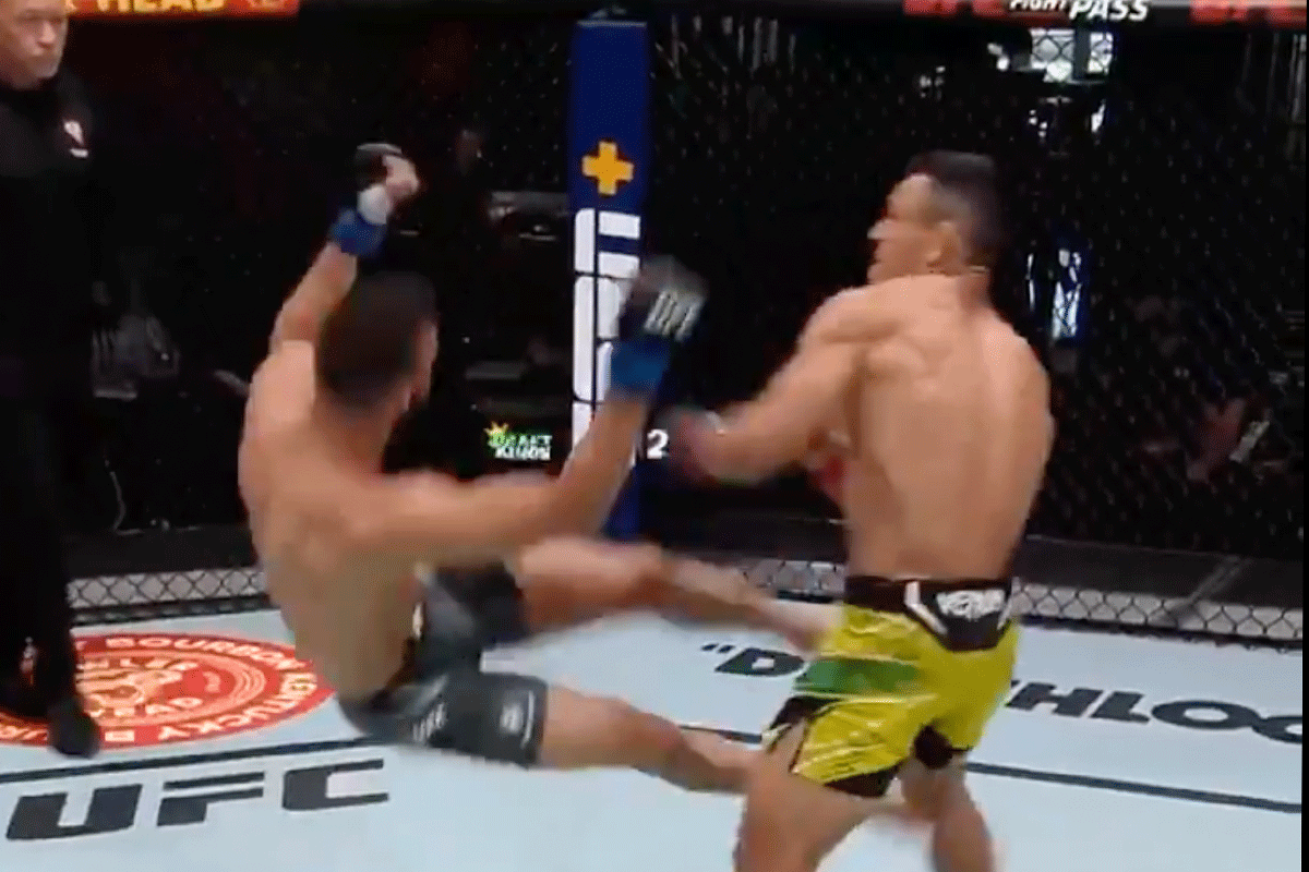 Silva-de-Andrade